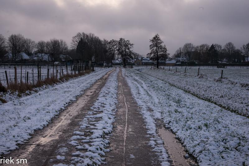 eerstesneeuw202111.jpg - Eerste Sneeuw 2021