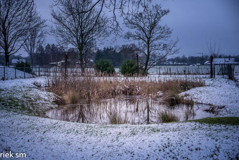 eerstesneeuw202114.jpg - Eerste Sneeuw 2021