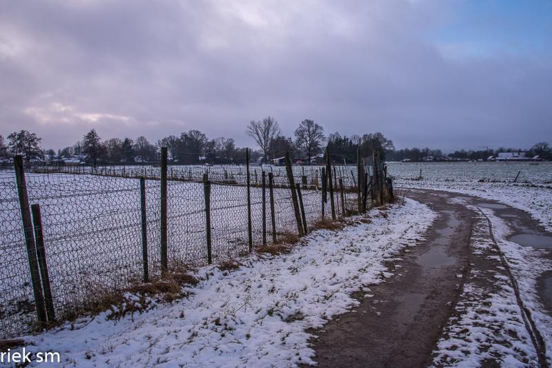 eerstesneeuw202116.jpg - Eerste Sneeuw 2021