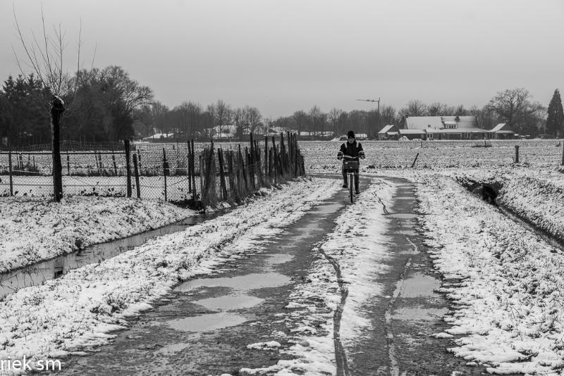 eerstesneeuw202117.jpg - Eerste Sneeuw 2021