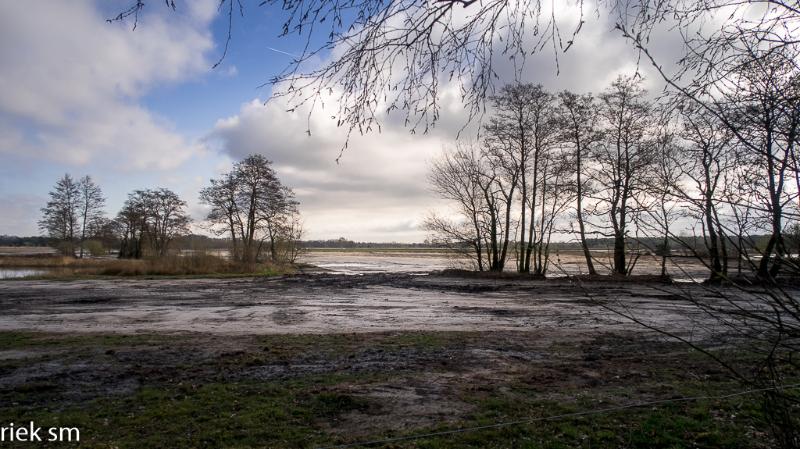 gastelse heide 05.jpg - Gastelse Heide