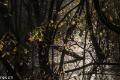 herfst2021 09