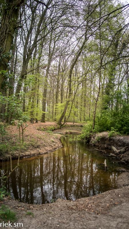 kasteel heeze 07.jpg - Kasteel Heeze