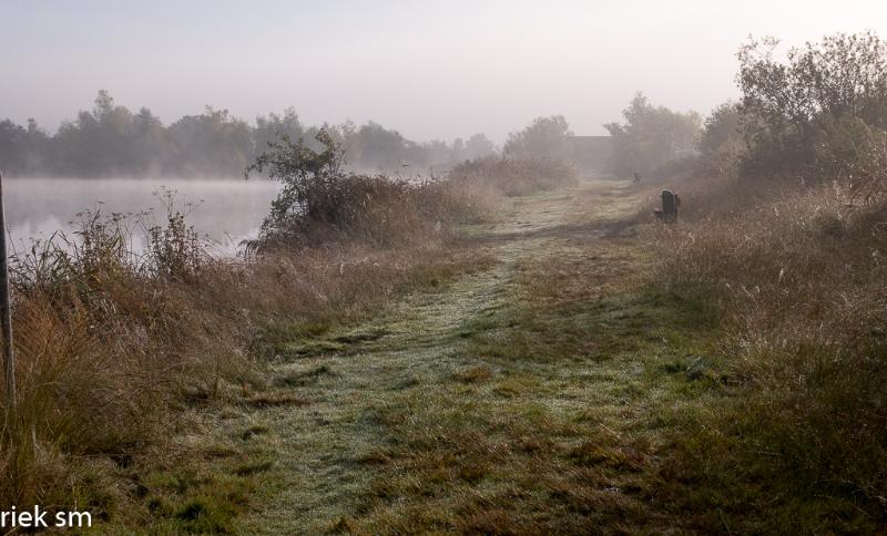 mistigeochtend2021 01.jpg - Mistige ochtend 2021