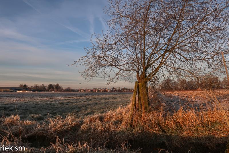 vroegveren08.jpg - Vroeg uit de veren