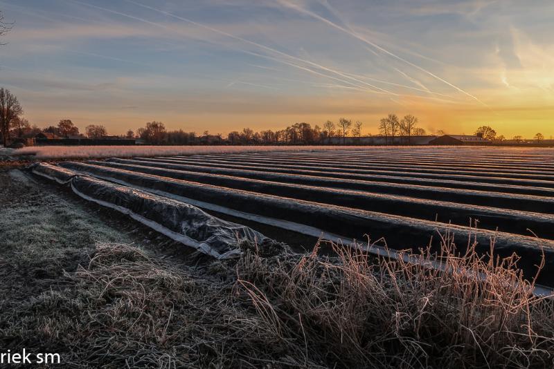 vroegveren15.jpg - Vroeg uit de veren