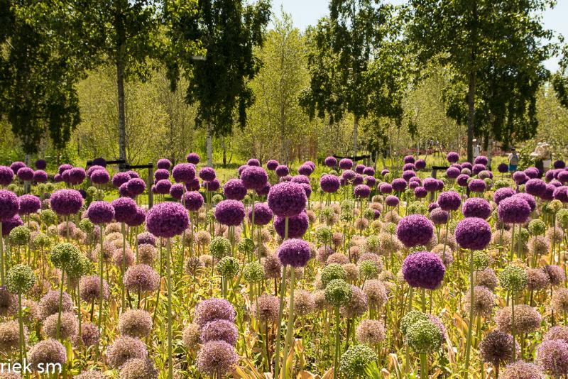 almere 16.jpg - Floriade Almere 2022