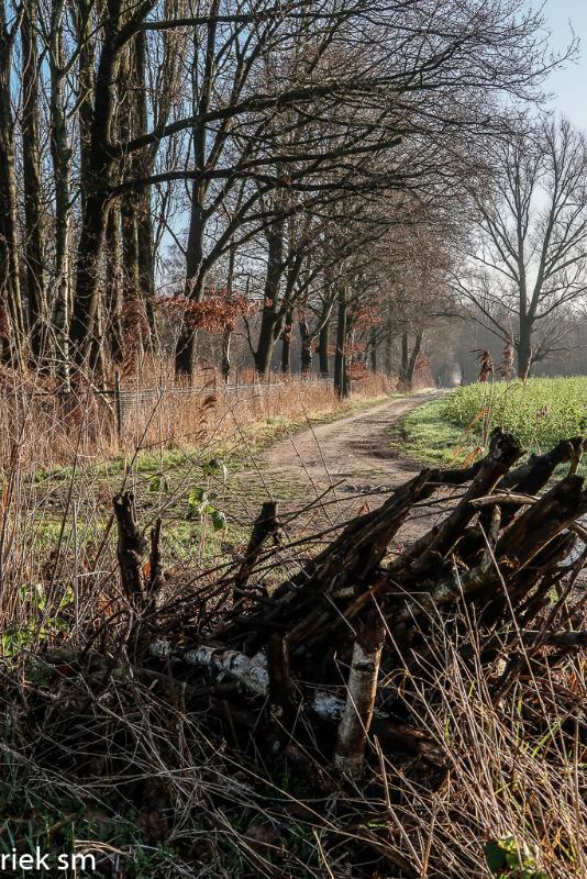 ochtendwandelingen (11).jpg - Ochtendwandelingen 2022