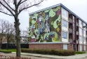 Streetart Goes (13 van 14)