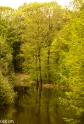 wandelbos Tilburg (14 van 16)