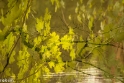 wandelbos Tilburg (6 van 16)