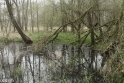 wandeling Tungelrooise Beek (14)