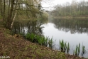 wandeling Tungelrooise Beek (22)
