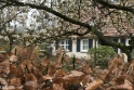 wandeling Tungelrooise Beek (29)