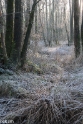2022-12 winters weer (14)