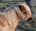 2022-12 winters weer (19)