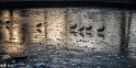 2022-12 winters weer (4)