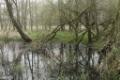 Wandeling Tungelrooisebeek 2023