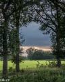 Asbroek (1 van 6) (1)