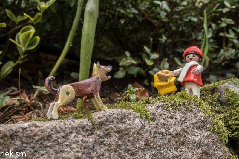 miniatuurfotografie (6 van 7).jpg - Miniatuurfotografie