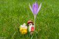 miniatuurfotografie (7 van 7)