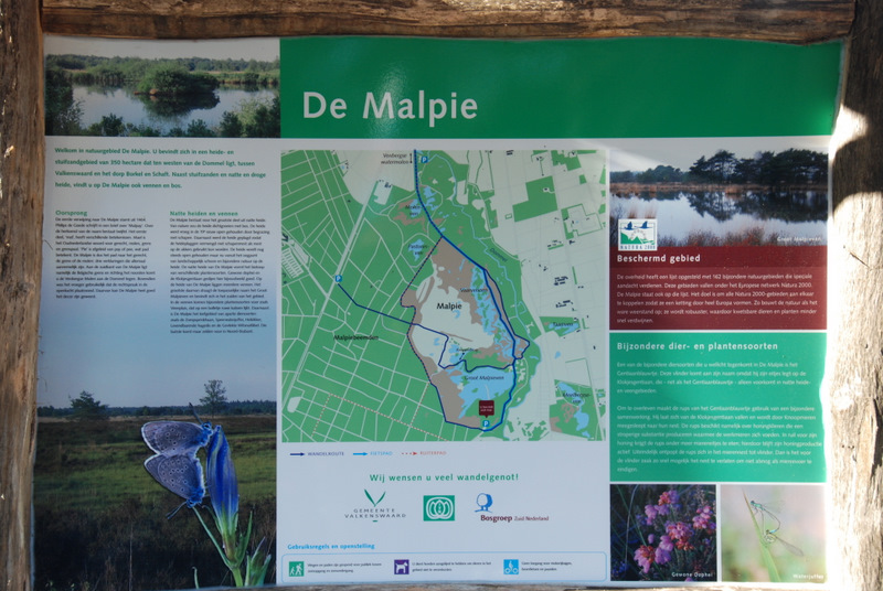 DSC_1048.JPG - Informatiebord De Malpie