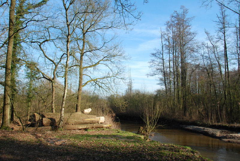 DSC_1099.JPG - De Dommel