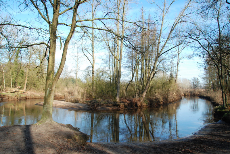 DSC_1101.JPG