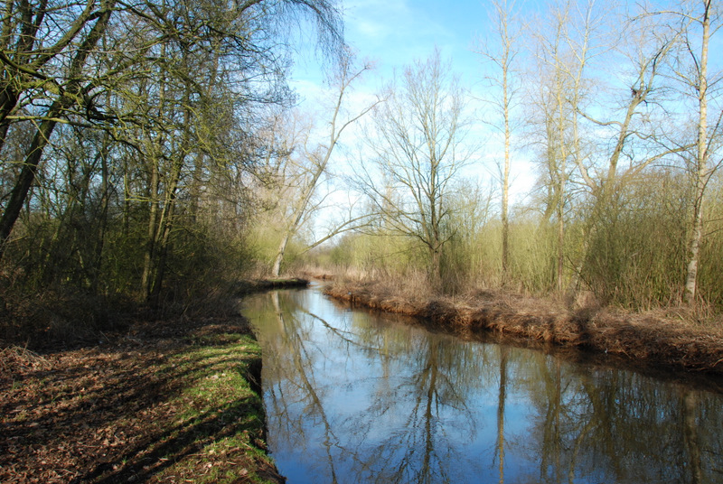 DSC_1107.JPG - De Dommel