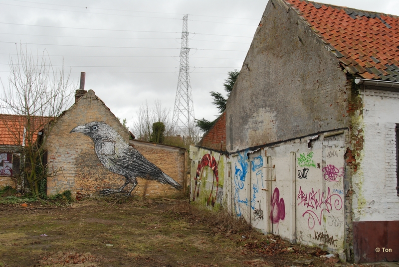 sized_DSC_1419.JPG - Volop graffiti op de muren