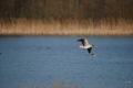 sized_DSC_1308