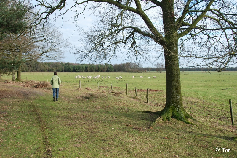 DSC_0625.JPG - Eerste plaatsing Sluiterke