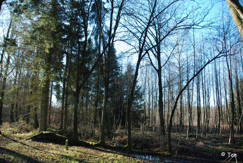 DSC_0674.JPG - Eerste plaatsing Sluiterke