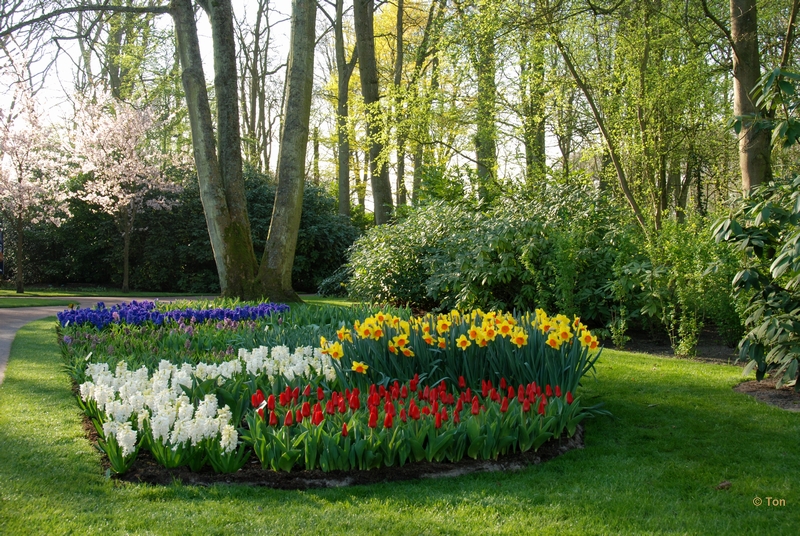 sized_DSC_3669.JPG - Bloemen in overvloed
