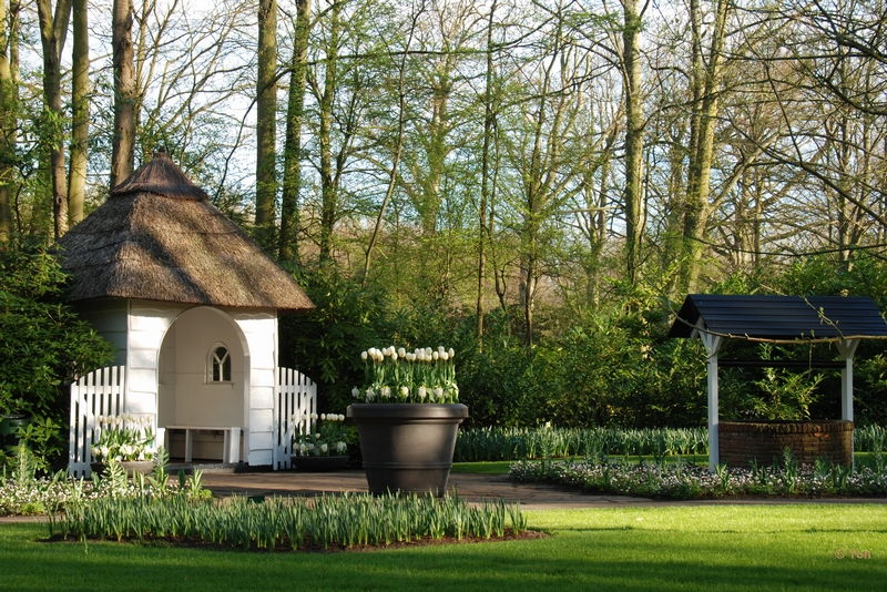 sized_DSC_3673.JPG - Keukenhof