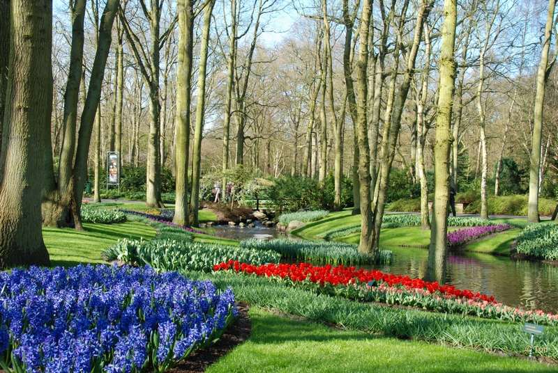 sized_DSC_3788.JPG - Keukenhof