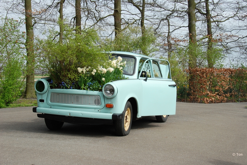 sized_DSC_3941.JPG - Trabant,