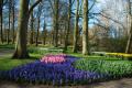 sized_DSC_3704
