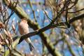 sized_DSC_3751