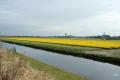 sized_DSC_3837