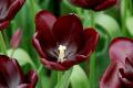 sized_DSC_3910