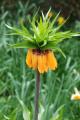 sized_DSC_3963