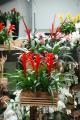 sized_DSC_3983