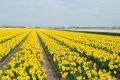 sized_DSC_4038