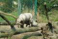 sized_DSC_2775