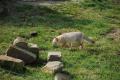 sized_DSC_2801