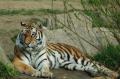 sized_DSC_2884