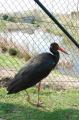 sized_DSC_2958