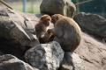sized_DSC_3025