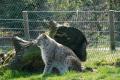 sized_DSC_3098